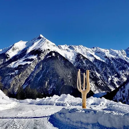Alpennestl Ferienhaus Dornauberg